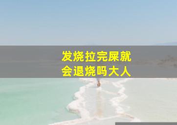 发烧拉完屎就会退烧吗大人