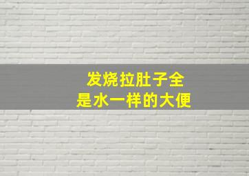 发烧拉肚子全是水一样的大便