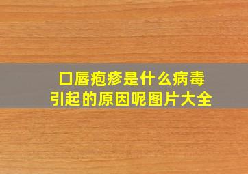 口唇疱疹是什么病毒引起的原因呢图片大全