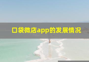 口袋微店app的发展情况