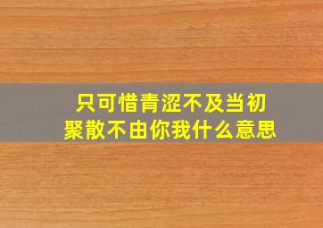 只可惜青涩不及当初聚散不由你我什么意思