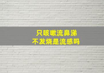 只咳嗽流鼻涕不发烧是流感吗