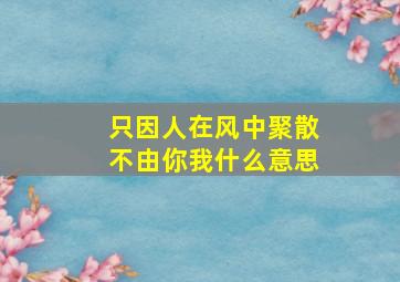 只因人在风中聚散不由你我什么意思