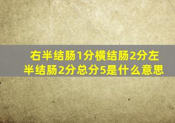 右半结肠1分横结肠2分左半结肠2分总分5是什么意思