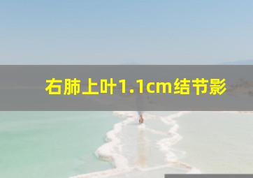 右肺上叶1.1cm结节影