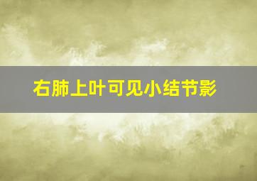 右肺上叶可见小结节影