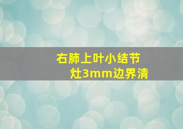 右肺上叶小结节灶3mm边界清