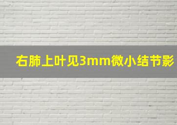 右肺上叶见3mm微小结节影