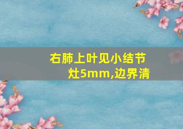 右肺上叶见小结节灶5mm,边界清