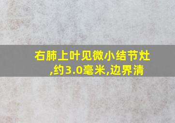 右肺上叶见微小结节灶,约3.0毫米,边界清