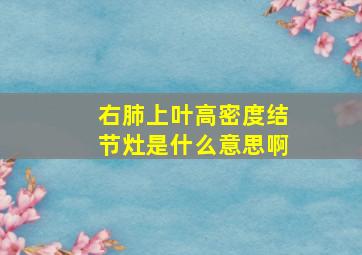 右肺上叶高密度结节灶是什么意思啊