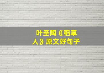 叶圣陶《稻草人》原文好句子