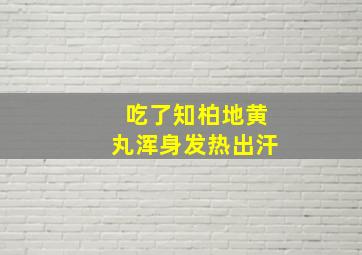 吃了知柏地黄丸浑身发热出汗