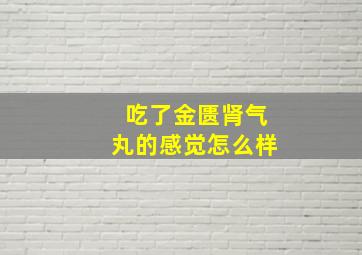 吃了金匮肾气丸的感觉怎么样