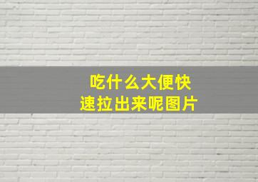 吃什么大便快速拉出来呢图片