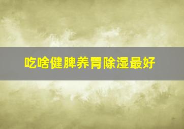 吃啥健脾养胃除湿最好