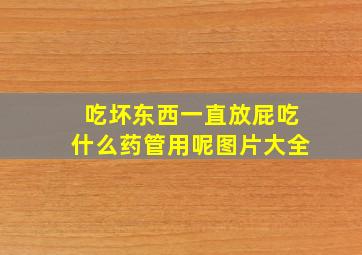 吃坏东西一直放屁吃什么药管用呢图片大全