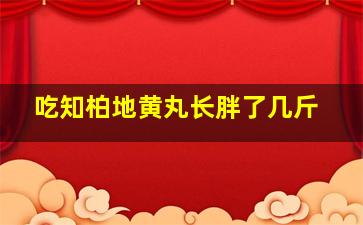 吃知柏地黄丸长胖了几斤