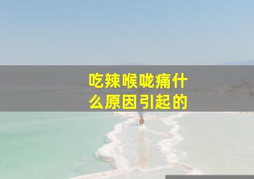 吃辣喉咙痛什么原因引起的