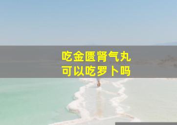 吃金匮肾气丸可以吃罗卜吗