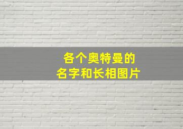 各个奥特曼的名字和长相图片