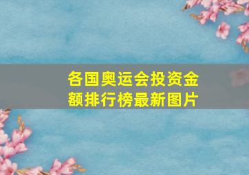 各国奥运会投资金额排行榜最新图片