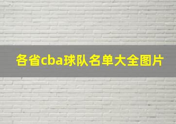 各省cba球队名单大全图片