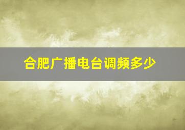 合肥广播电台调频多少