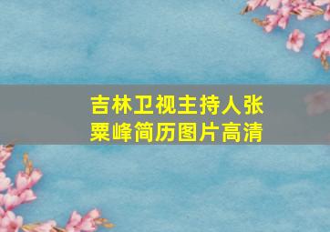 吉林卫视主持人张粟峰简历图片高清