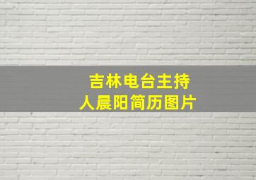 吉林电台主持人晨阳简历图片