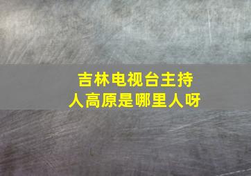 吉林电视台主持人高原是哪里人呀