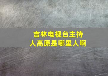 吉林电视台主持人高原是哪里人啊