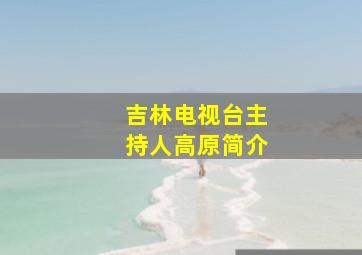 吉林电视台主持人高原简介