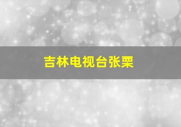 吉林电视台张栗