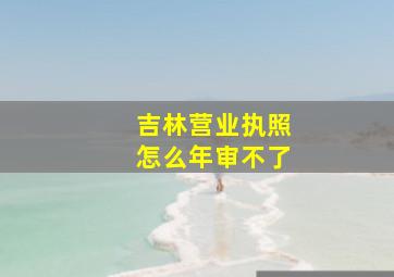 吉林营业执照怎么年审不了