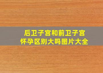 后卫子宫和前卫子宫怀孕区别大吗图片大全