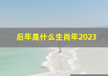 后年是什么生肖年2023