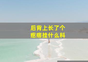 后背上长了个疙瘩挂什么科