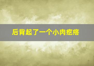 后背起了一个小肉疙瘩