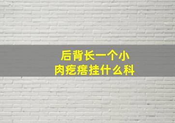 后背长一个小肉疙瘩挂什么科