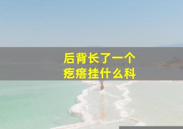 后背长了一个疙瘩挂什么科