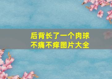 后背长了一个肉球不痛不痒图片大全