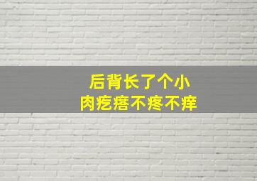 后背长了个小肉疙瘩不疼不痒