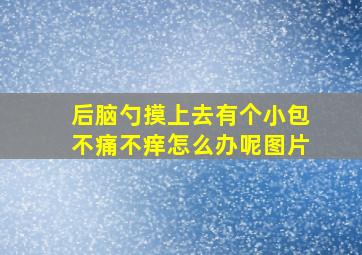 后脑勺摸上去有个小包不痛不痒怎么办呢图片