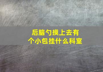 后脑勺摸上去有个小包挂什么科室