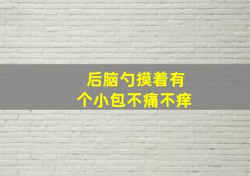 后脑勺摸着有个小包不痛不痒