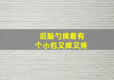 后脑勺摸着有个小包又痒又疼