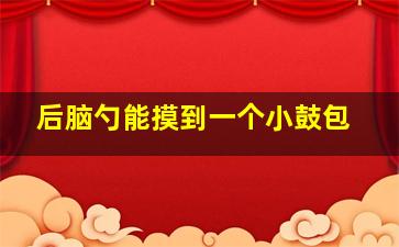 后脑勺能摸到一个小鼓包