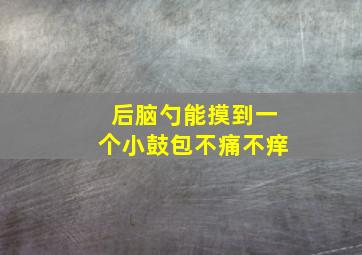 后脑勺能摸到一个小鼓包不痛不痒