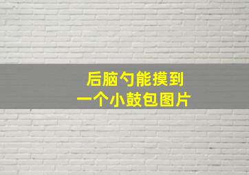 后脑勺能摸到一个小鼓包图片